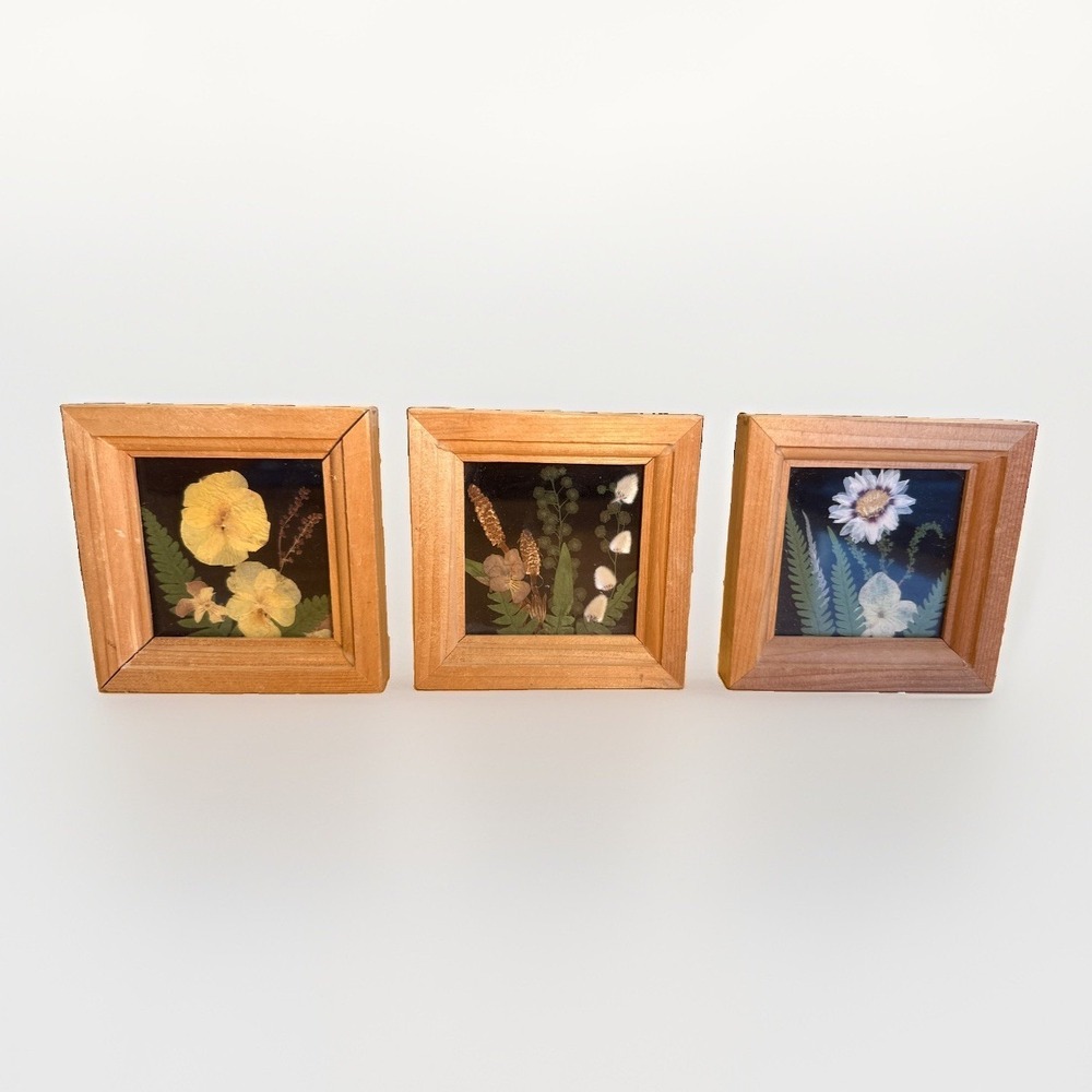 Vintage Dried Pressed Flowers Art Black Ornate Wall Hanging Frame Set Of 3 Japan